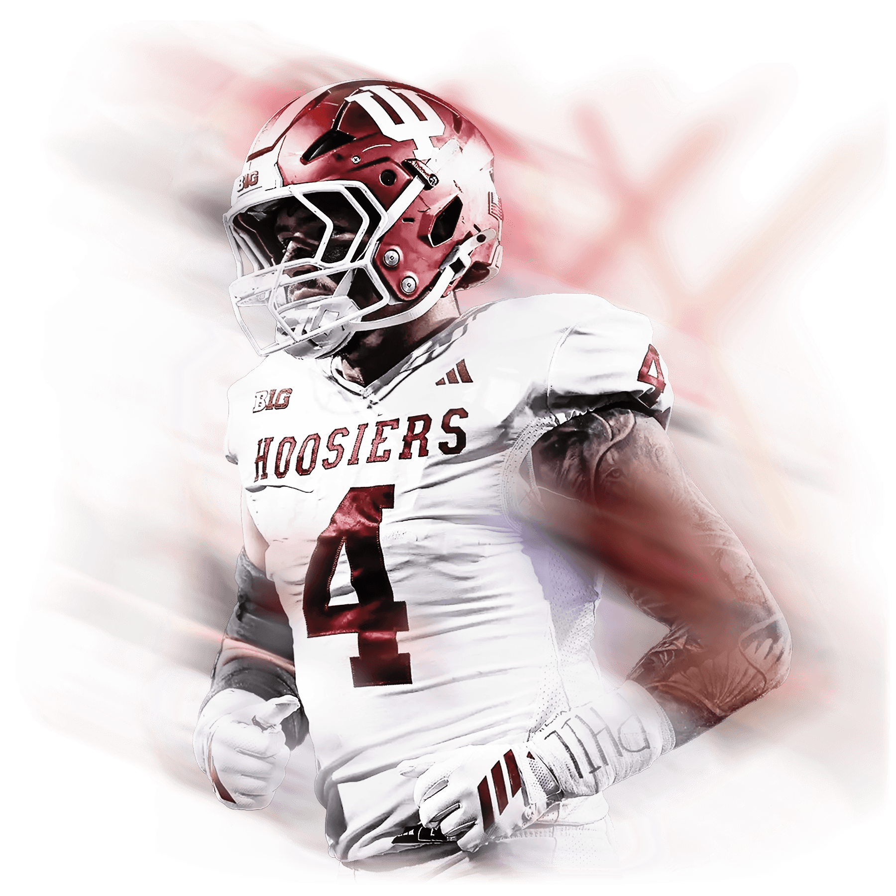 Fisher Stylized Image