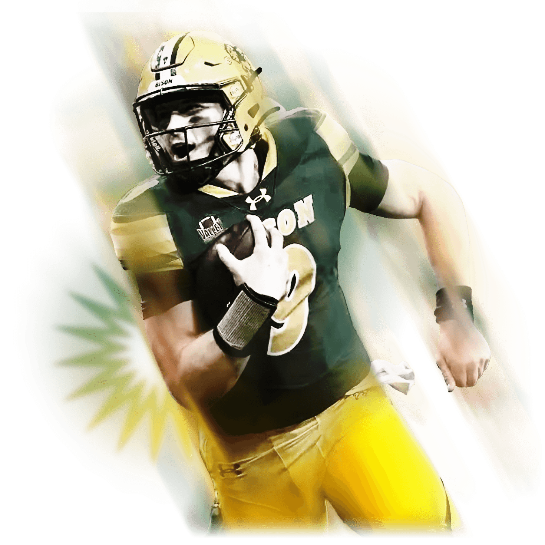 Payton Stylized Image