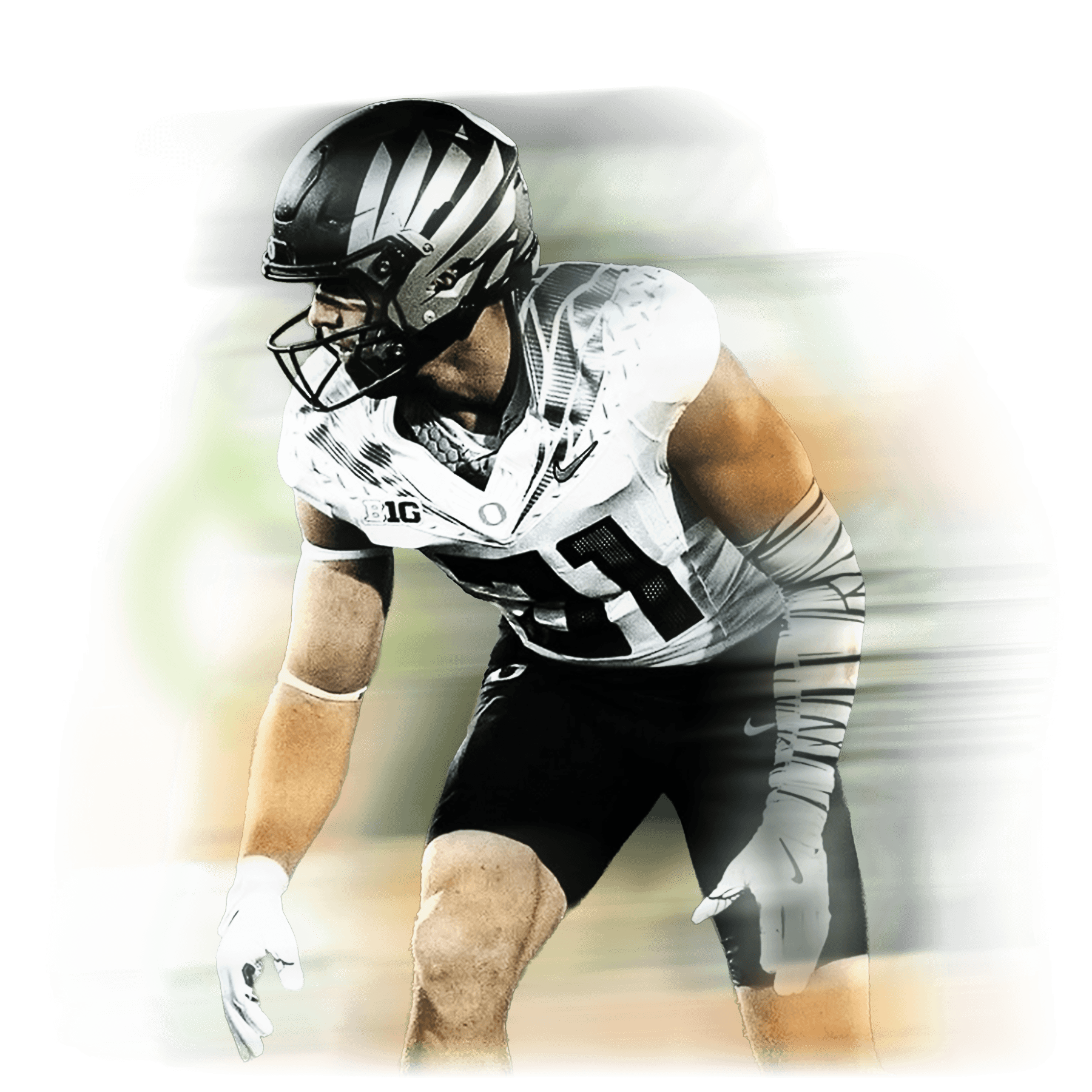 Thieneman Stylized Image