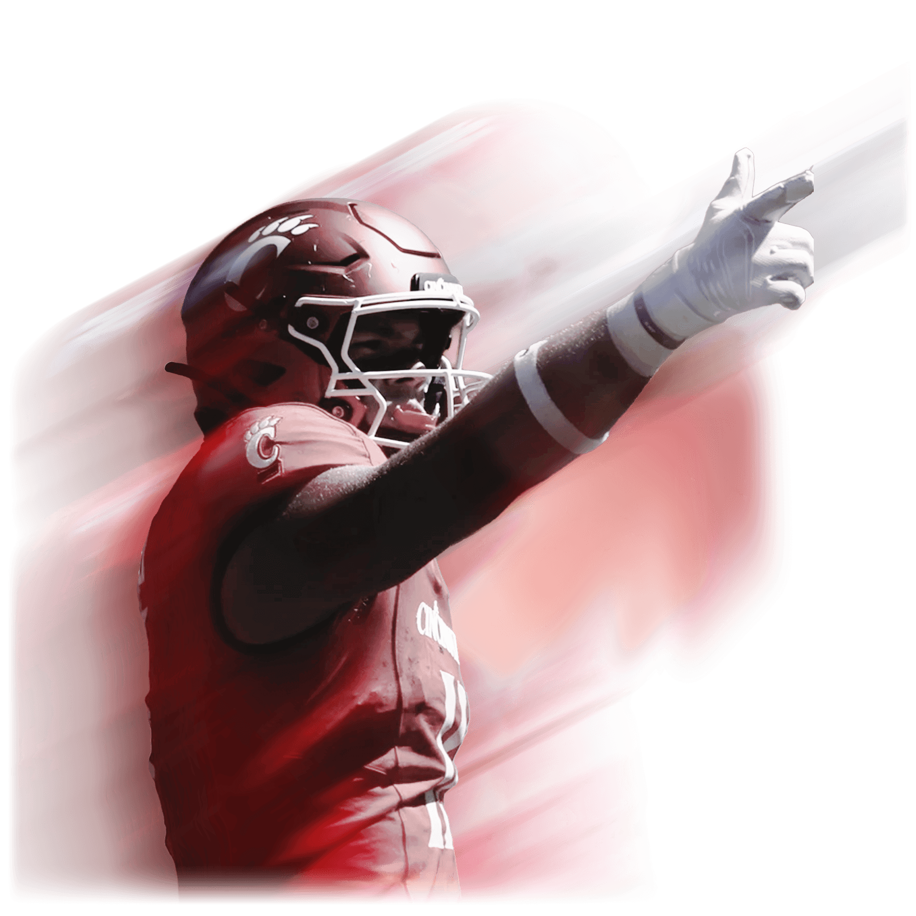 Royer Stylized Image