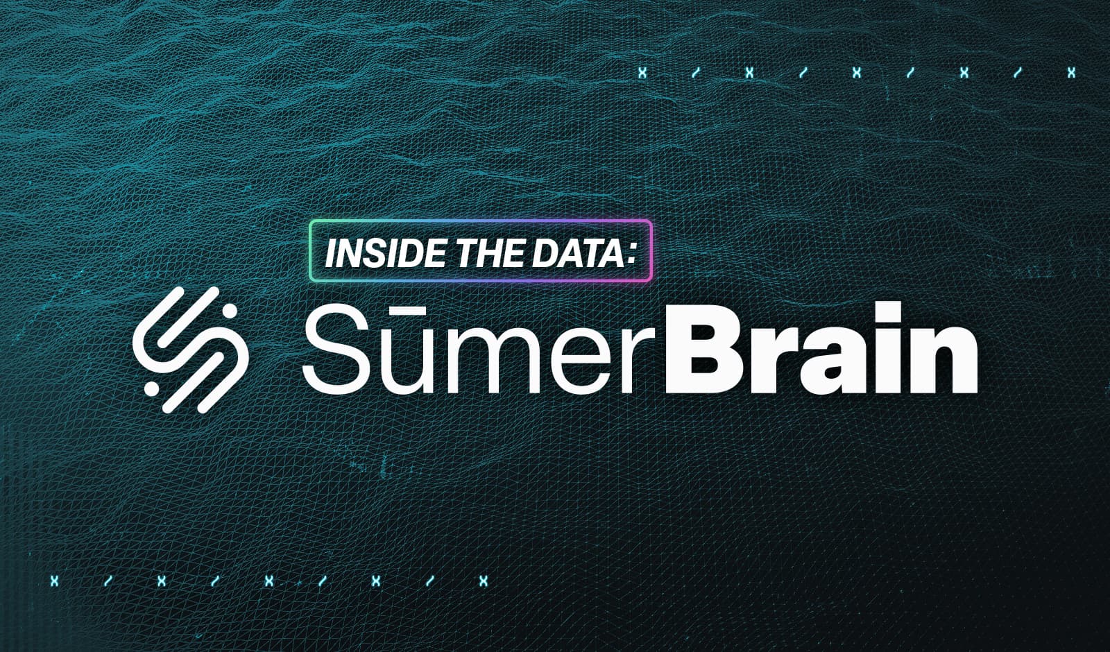 sumerbrain - inside