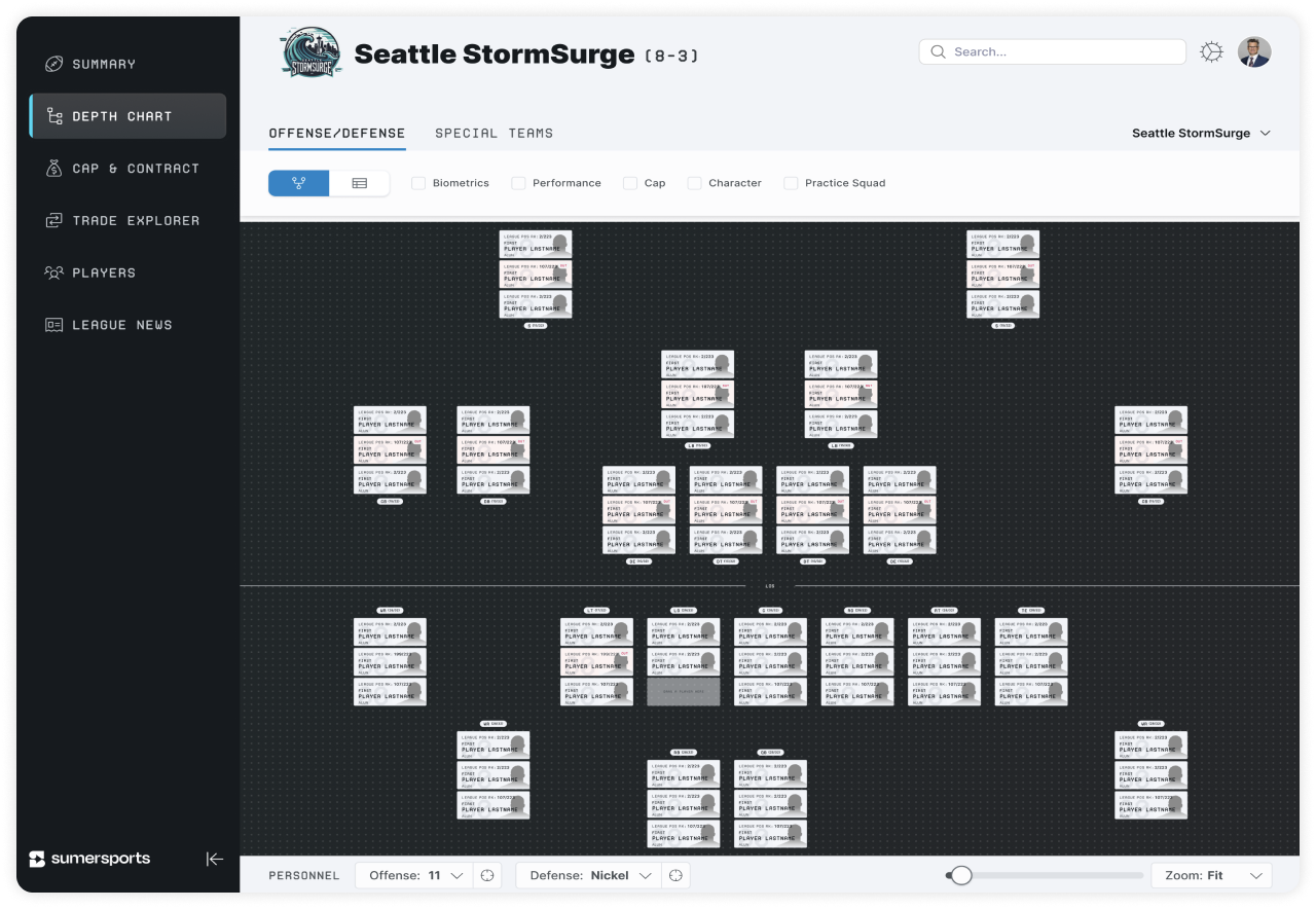 SumerNFL - Depth Chat software screenshot